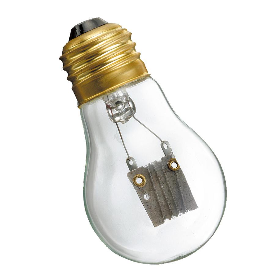 マルカン MARUKAN 保温電球 20W(交換球)マルカン ペット マルカン MARUKAN 保温電球 20W(交換球)マルカン ペット