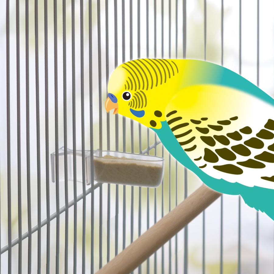 スドー SUDO ちょこっとクリアフィーダー（3個入）少量に便利なミニ