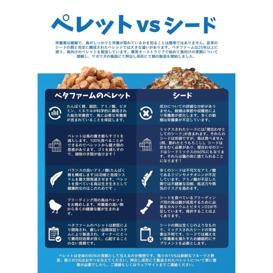 【獣医師プロデュース】ベタファーム/VETAFARM サウスアメリカンミックス 350g ナッツ風味 南米原産種向け ペレット シロハラインコ オキナインコ 鳥 餌 SAM｜pearly｜06