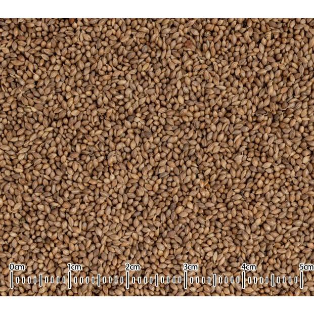 黒瀬ペットフード 皮つきフォニオ 120g フォニオパディ アミノ酸