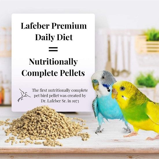 ラフィーバー/LAFEBER'S  プレミアム デイリー ペレット パラキート 567g セキセイインコ ラフィーバ コザクラインコ フード 鳥 餌｜pearly｜05