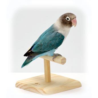 木製小型鳥用運動スタンド*5 木製小型鳥用運動スタンド*5 Amazon | POPETPOP 5本 ハト 木 止まり
