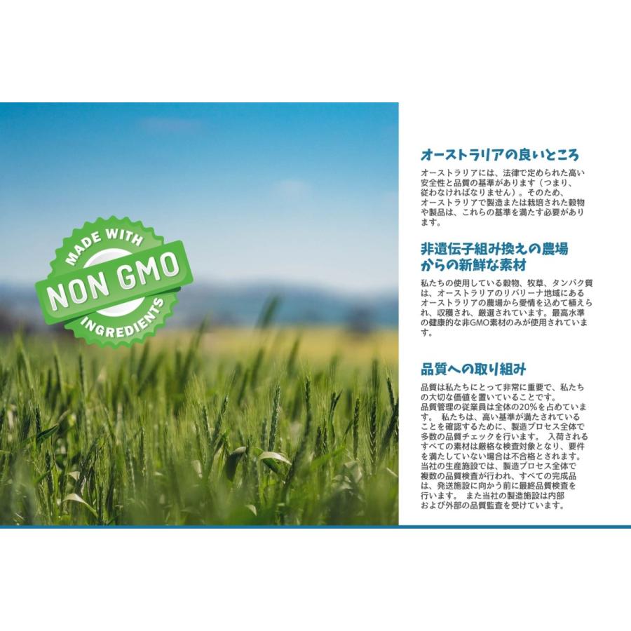 獣医師プロデュース】ベタファーム/VETAFARM シンバイオティック 100g 