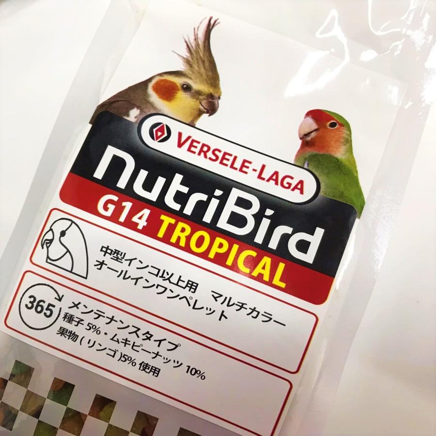 ベーセルラガ/VERSELE-LAGA ニュートリバード G14 トロピカル〔マルチ