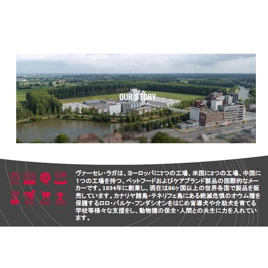 【鳥の羽毛コンディショナー】ベーセルラガ/VERSELELAGA ジャングル シャワー 500ml 外用サプリメント Oropharma/オ