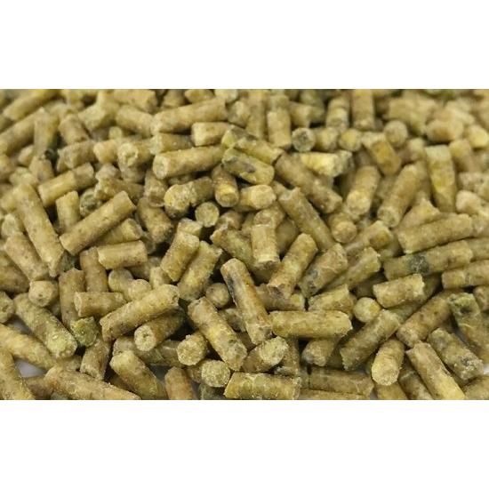 【5袋+おまけ】ラウディブッシュ デイリーメンテナンス（ミニ） Amazon | ラウディブッシュデイリーメンテナンスミニ4．54kg