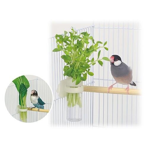 Sanko 小鳥のベジタブルポット いたずらされにくい菜挿し Zb6pg8g50d インコ専門店ぺありー 通販 Yahoo ショッピング