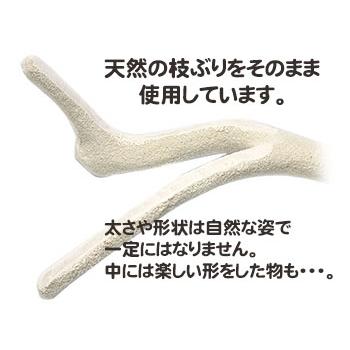 カクタスパーチ　Y字 item_b47_up.jpg