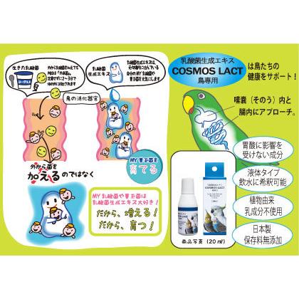 ◇横浜小鳥の病院監修◇ コスモスラクト バード 30ml 乳酸菌生成 ◇横浜小鳥の病院監修◇ コスモスラクト バード 30ml 乳酸菌生成