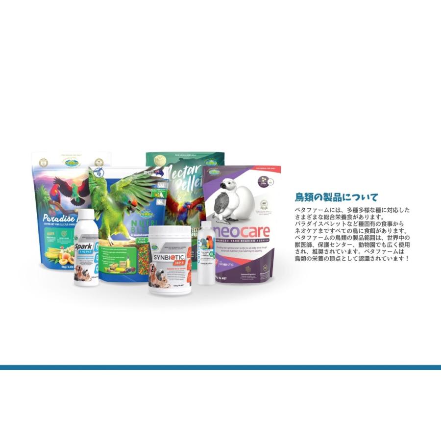 大流行中！ 獣医師プロデュース】ベタファーム/VETAFARM サウスアメリカン 鳥のエサ