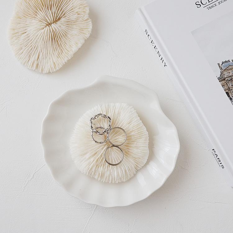 シェルトレー トレイMサイズ アクセサリー トレー 貝殻 小物入れ