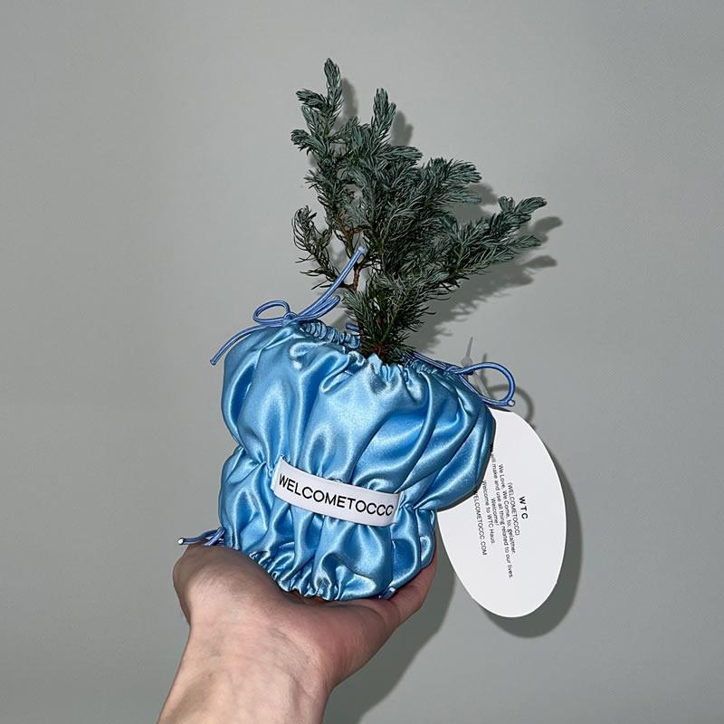 ポポーの植木(7寸不織布ぽっと)今年で販売最後、送料込み