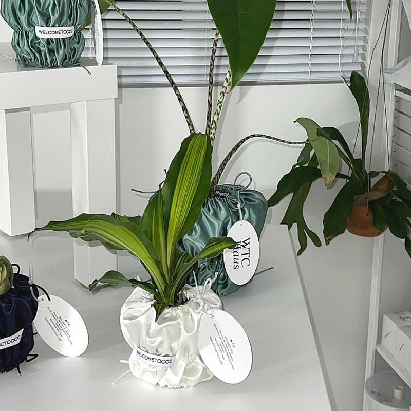 鉢カバー Sサイズ ホワイトブラック 観葉植物 プランター 植木鉢