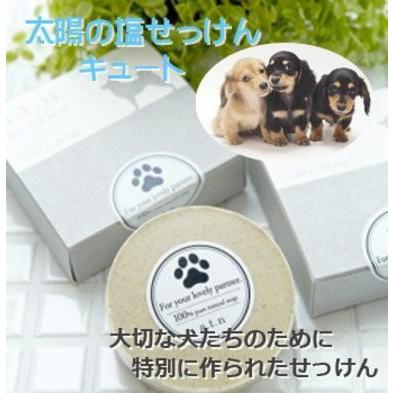 犬用シャンプー プレミアム塩石鹸 オーガニック 犬 シャンプー 涙やけ 固形 デリケート 蜂蜜 ボディ 消臭 無添加 薬用シャンプー Atn 1 Pebby 通販 Yahoo ショッピング