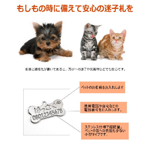 ペットアクセサリー 迷子札 シルバー ステンレス 犬チャーム ネーム