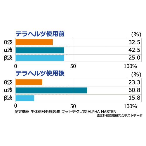 テラセラピネックレスL(55cm)_1