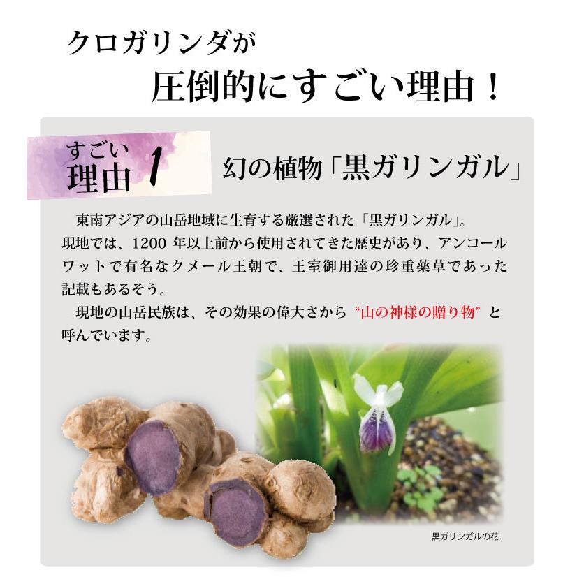 クロガリンダ (370mg×100カプセル) 【公式通販】