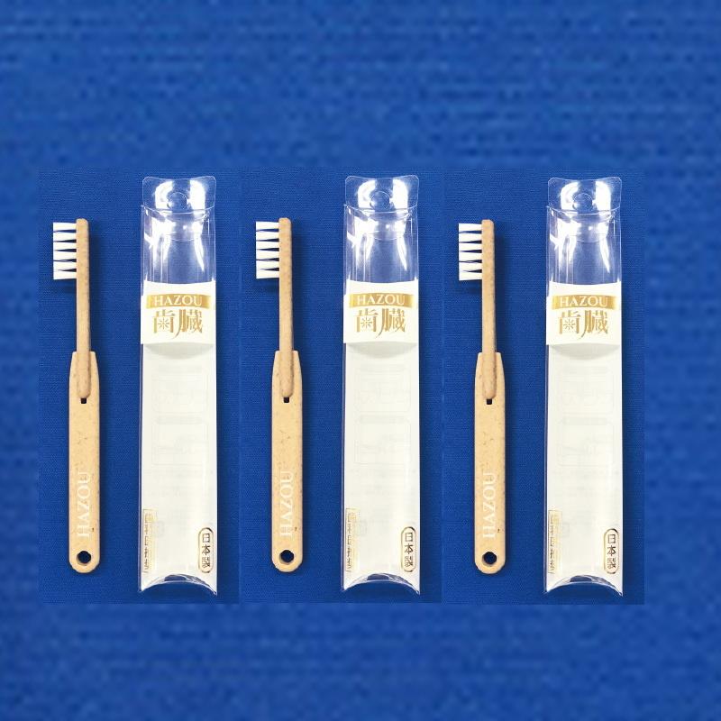 ドクターむらつのワンライン歯臓ブラシ ×3本セット クリックポストで