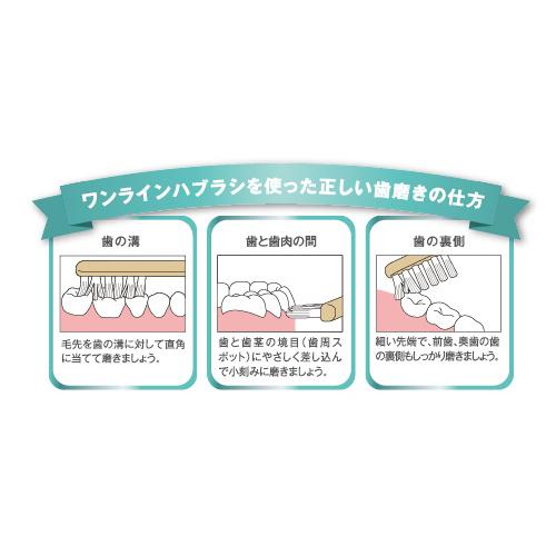 ドクターむらつのワンライン歯臓ブラシ ×3本セット クリックポストで