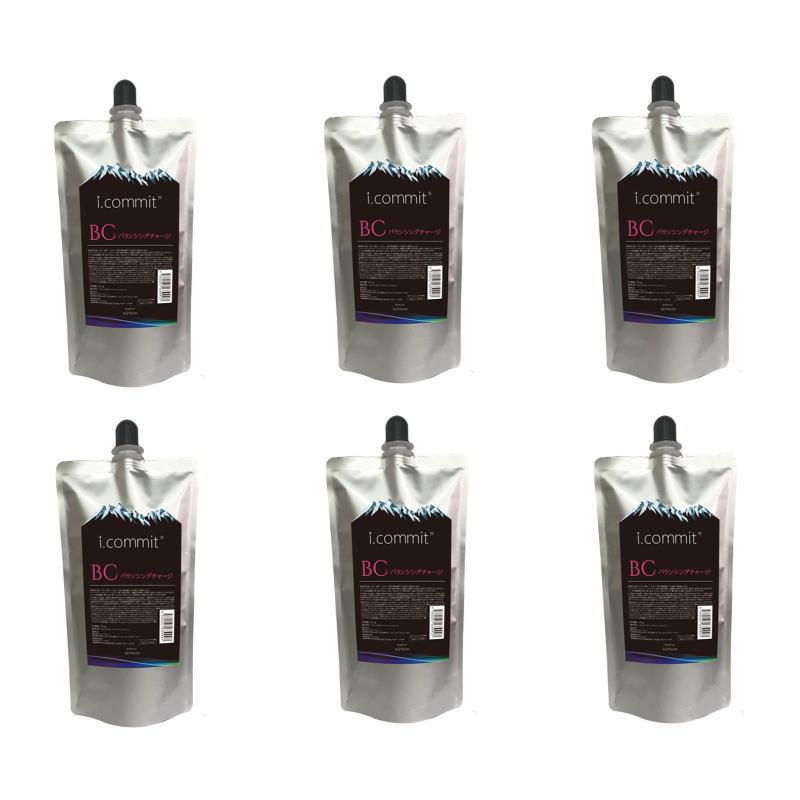 ALPSion　i.commit　アイコミット バランシングチャージ　500g【×6点セット】 ALPSion i.commit アイコミット バランシングチャージ 500g×6点セット