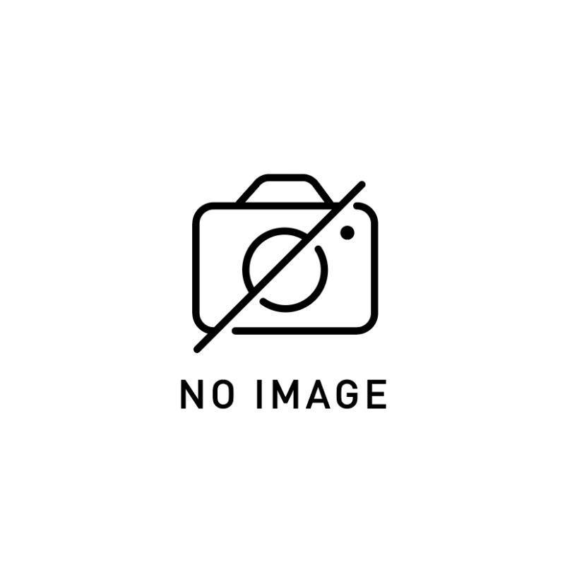 GOALD JAPAN（ゴールド ジャパン） COAR Dive LIGHT GREASE 170g