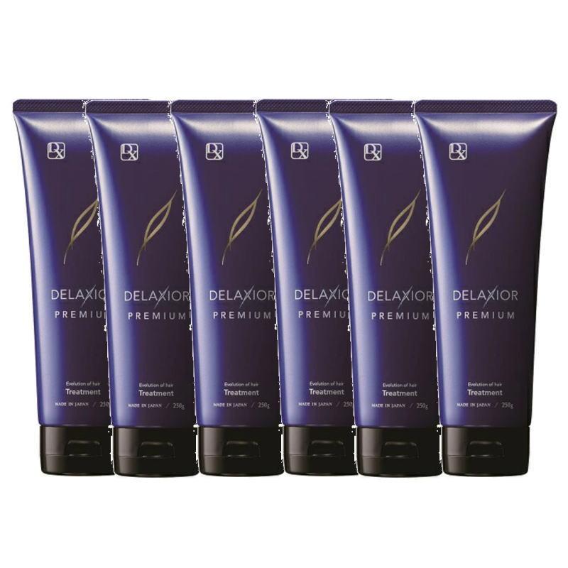 千代田化学　デラクシオ プレミアム　トリートメント 250g×6点セット 千代田化学 デラクシオ プレミアム トリートメント 250g×6点セット