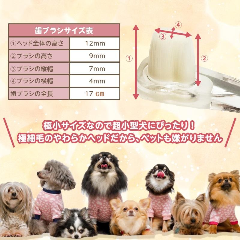 犬 猫 歯ブラシ 歯磨き ミニサイズ 8本セット ソフト やわらかい 嫌がらない 歯石予防 歯肉炎 超柔で極小 奥歯が磨きやすい 小さい 小型犬 |  | 03