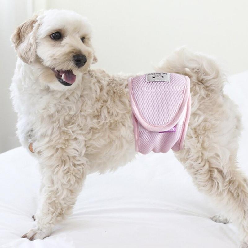 犬 マナーベルト メッシュ ムレない 漏れない くすみカラー S M L 幅広 男の子 しっかり留まる マナーウエア マナーバンド  マーキング予防 トイレ用品 |  | 06