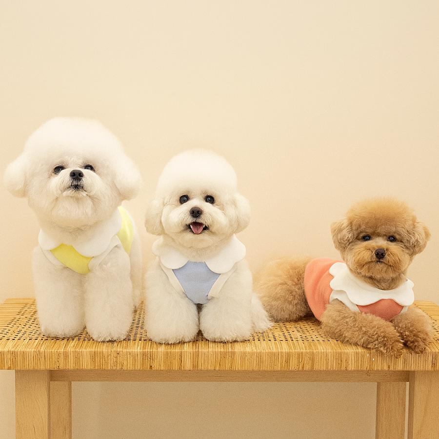 犬服 春夏 ショート丈Tシャツ ブラウス パンツカット 韓国テイスト 袖