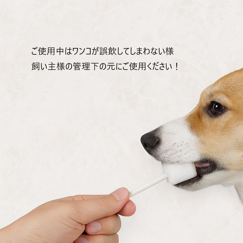犬 猫 スポンジ 歯ブラシ３本セット 使い捨て 清潔 柔らかい 低刺激 個別包装 ソフト 老犬  歯石予防 歯肉炎 奥歯 旅行用 汚れふき取り 口内洗浄 |  | 06
