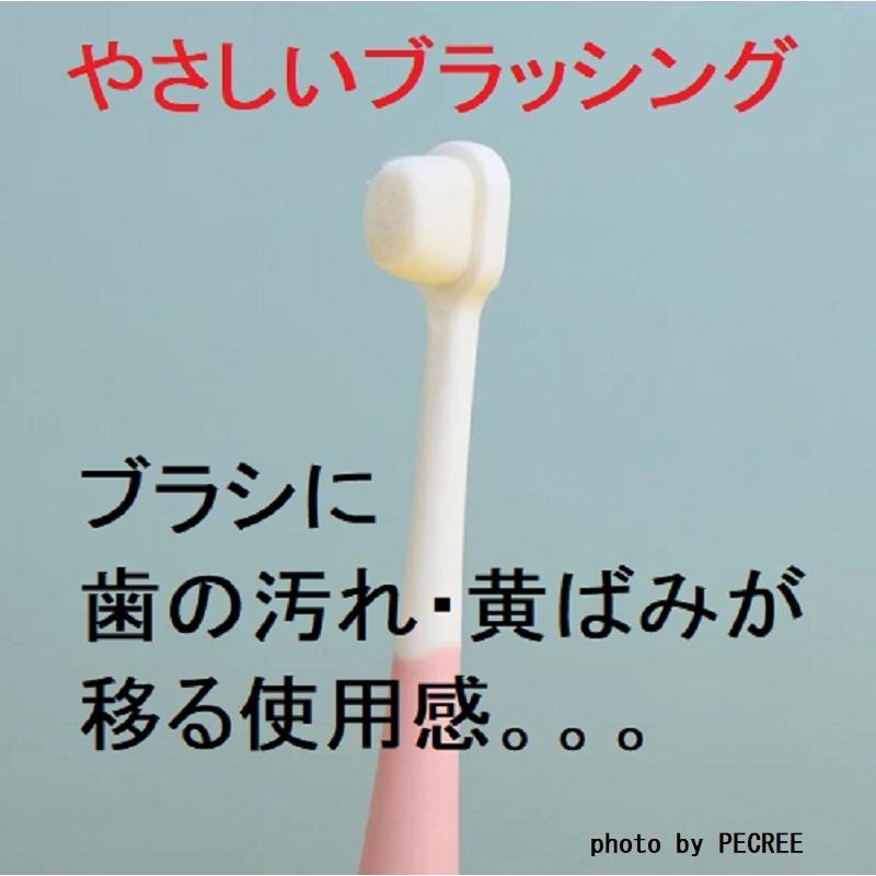犬 猫 歯ブラシ 歯磨き  嫌がらない 超柔で極小 星柄 4本セット 小型犬 |  | 04