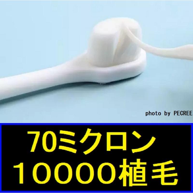 犬 猫 歯ブラシ 歯磨き  嫌がらない 超柔で極小 星柄 4本セット 小型犬 |  | 06