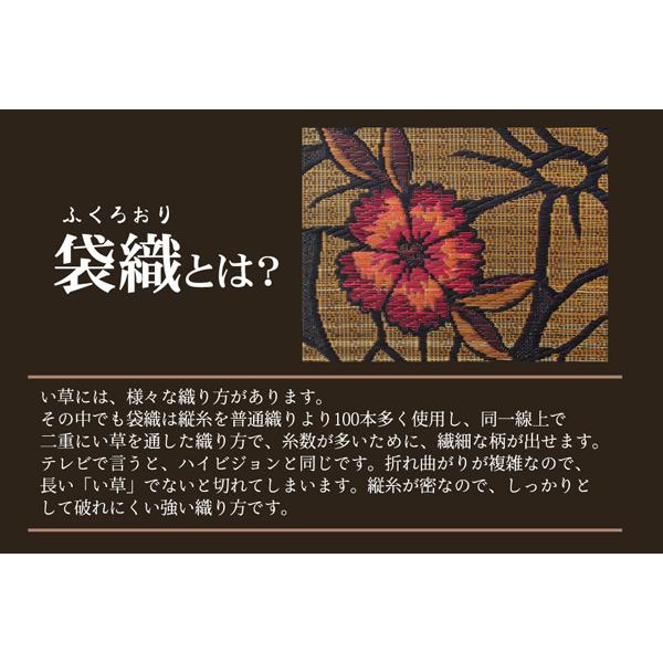 イケヒコ 純国産 袋織 い草ラグカーペット 『DXなでしこ