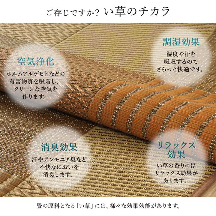 イケヒコ ラグ い草 国産 純国産 日本製 モダン 抗菌防臭 自然素材