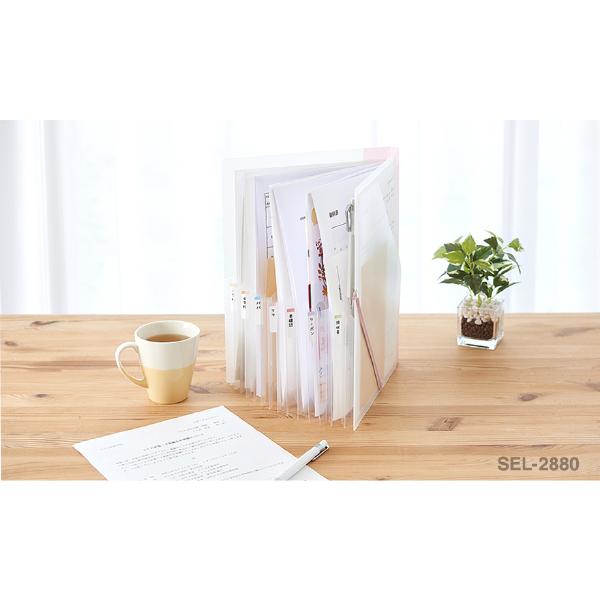 SEPAL セキセイ らくわけファイル A4 ファイル 収納 プリント 勉強
