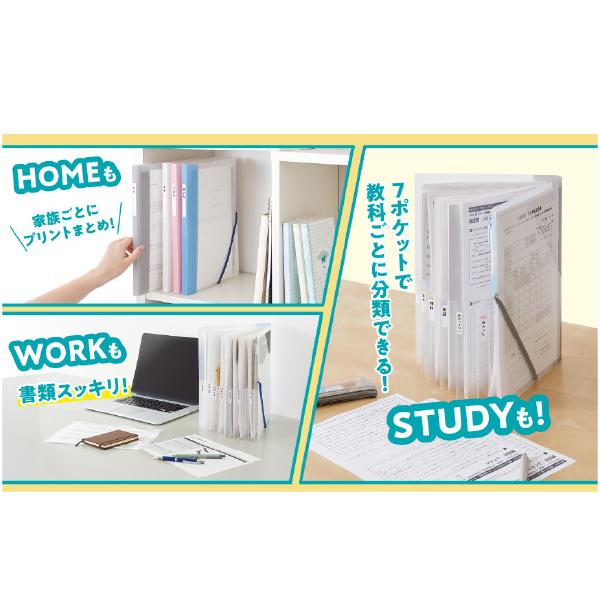SEPAL セキセイ らくわけファイル A4 ファイル 収納 プリント 勉強