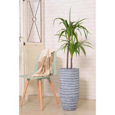 グリーンベース 7号用(GRNB-205)底面穴付 プランターカバー グリーンベース 植木鉢 鉢植え 観葉植物 インテリア オシャレ|peeeece|04