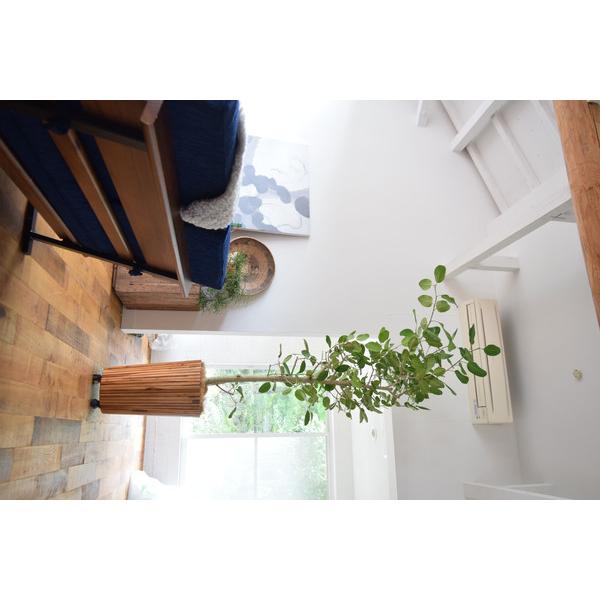 ウッドプランター GUY-814 プランター 木製 木 ナチュラル 入れ物 観葉植物入れ 飾り インテリア インテリア雑貨 室内 おしゃれ Lサイズ アジアン |  | 05