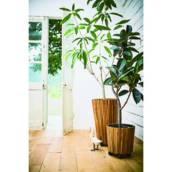 ウッドプランター GUY-814 プランター 木製 木 ナチュラル 入れ物 観葉植物入れ 飾り インテリア インテリア雑貨 室内 おしゃれ Lサイズ アジアン |  | 06