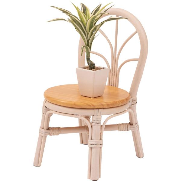 プランター チェア型 GUY-929NA GUY-929WH ミニチュア ミニチュアプランター おしゃれ 籐 パイン 小さい インテリア 飾る用 花台 |  | 06