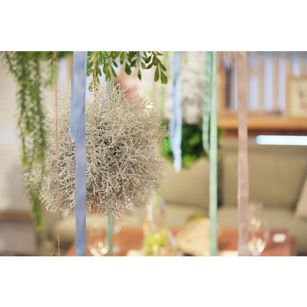 ボールフェイクグリーンミニ LFS-902D 小さい 枯れない 造花 観葉植物 おしゃれ |  | 14