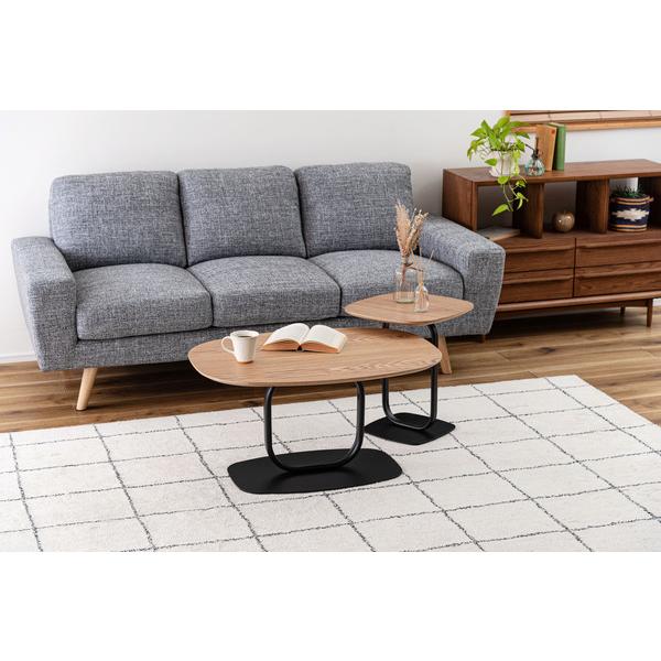 サイドテーブル TEC-84 テーブル 机 ナイトテーブル スリム おしゃれ モダン ベッドサイドテーブル ブラックスチール スチール ディスプレイ シンプル 高級感 | 東谷 | 15