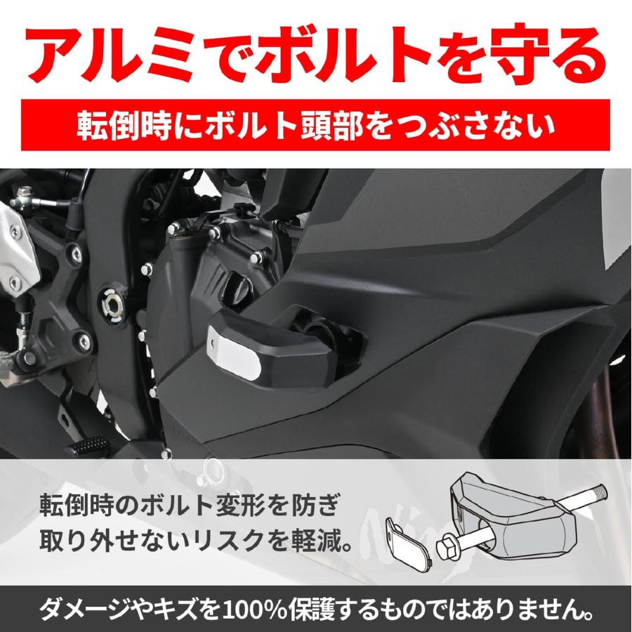 デイトナ EプロテクターSライン/ ZX-25R/ZX-4R |  | 03