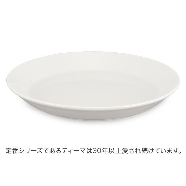 iittala（イッタラ） 【並行輸入品】 ティーマ Teema 21cm 2枚セット