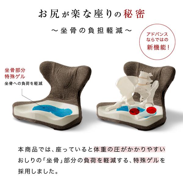 PROIDEA（プロイデア） 馬具マットプレミアムアドバンス 座椅子 腰もお