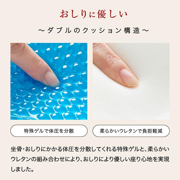 PROIDEA（プロイデア） 馬具マットプレミアムアドバンス 座椅子 腰もお