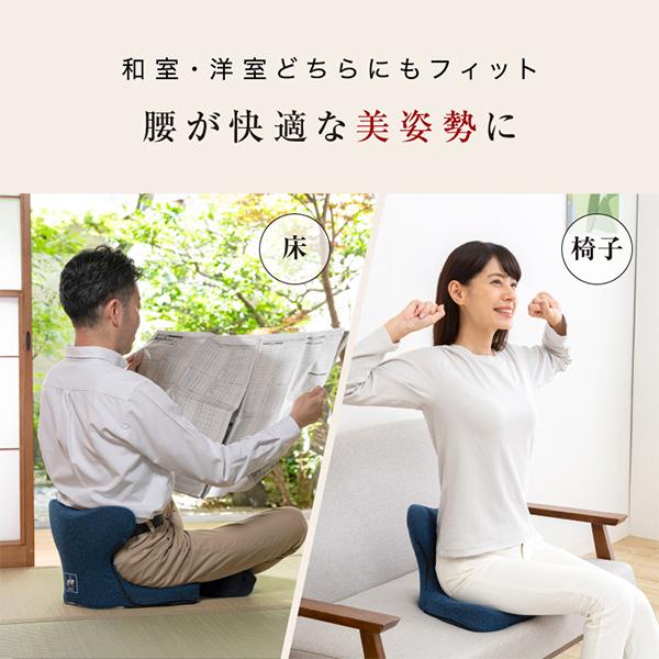 PROIDEA（プロイデア） 馬具マットプレミアムアドバンス 座椅子 腰もお