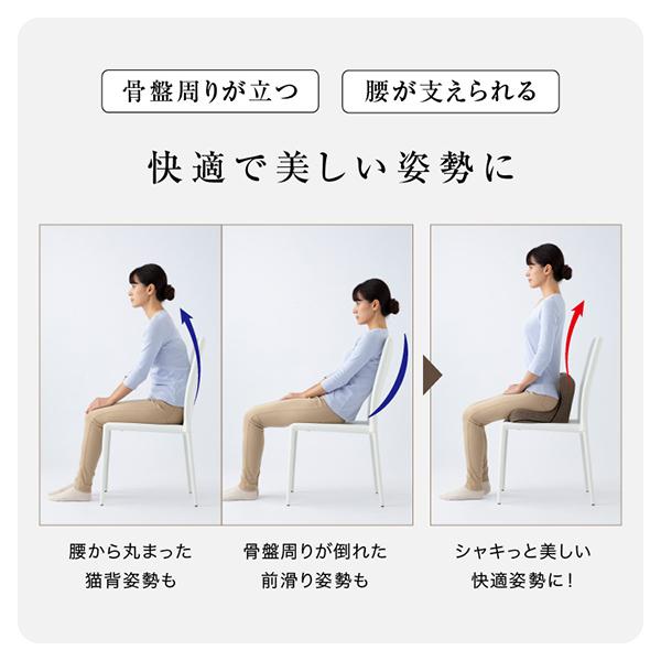 PROIDEA（プロイデア） 馬具マットプレミアムアドバンス 座椅子 腰もお
