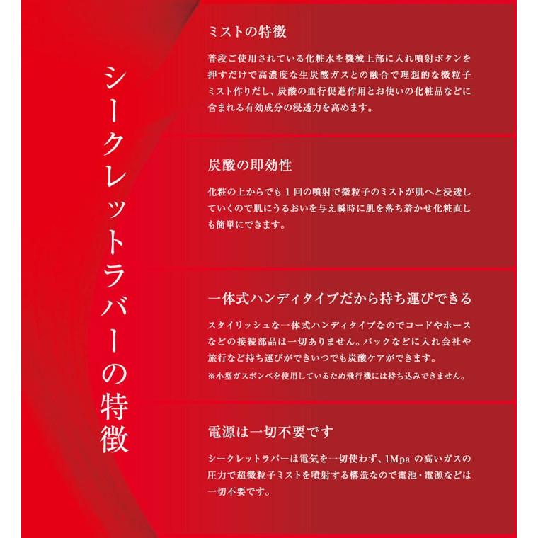 炭酸ミスト シークレットラバー secret lover 炭酸ミストケア 炭酸