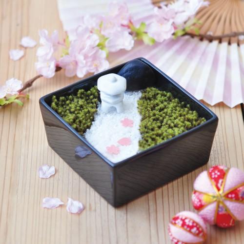 苔 栽培キット 簡単栽培 家庭栽培 水耕栽培 かわいい 誕生日 ギフト 苔
